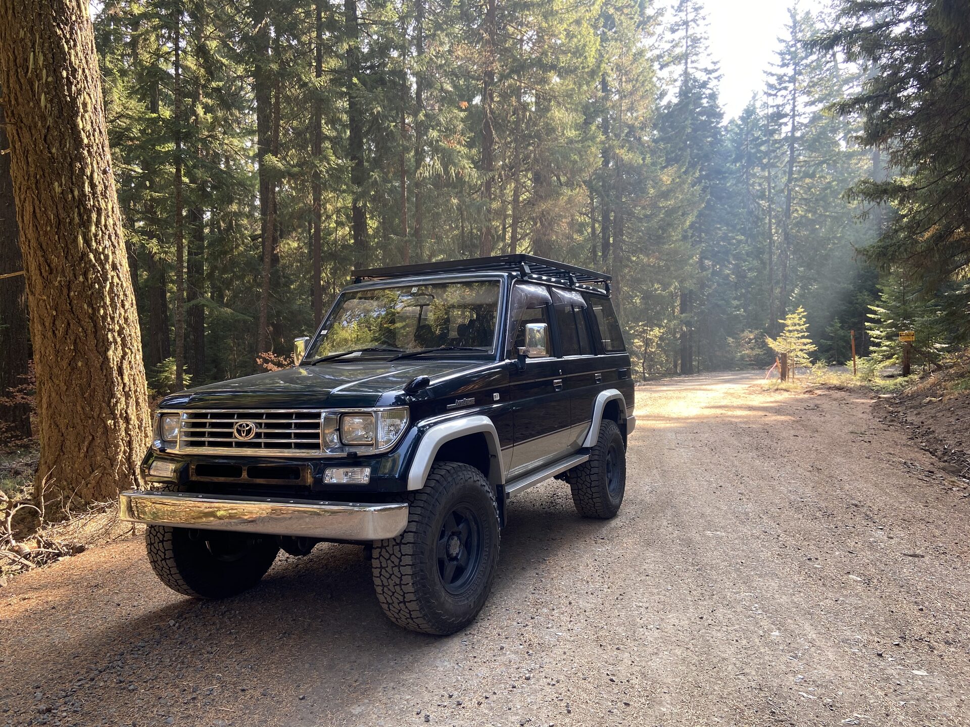 Toyota Land Cruiser in the Forest