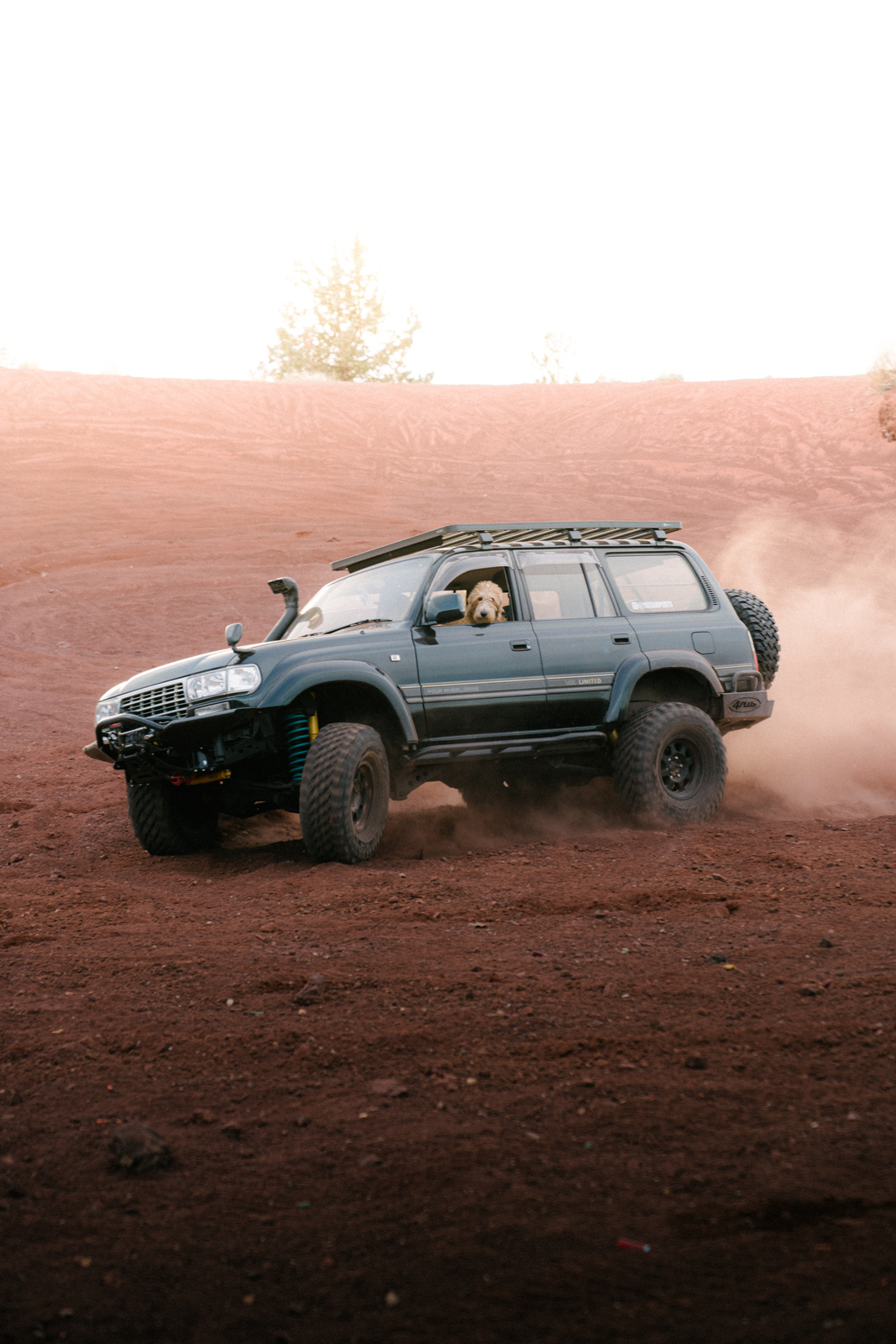 80 Series Land Cruiser kicking up dust in the desert with a dog hanging out the window