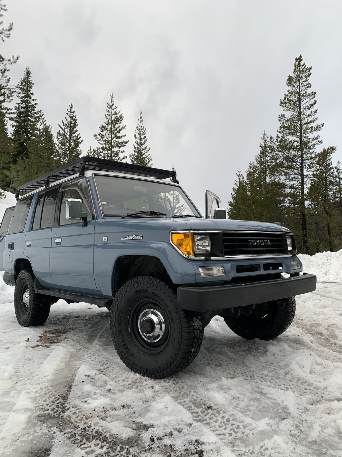 Black Prado Land Cruiser in the forest